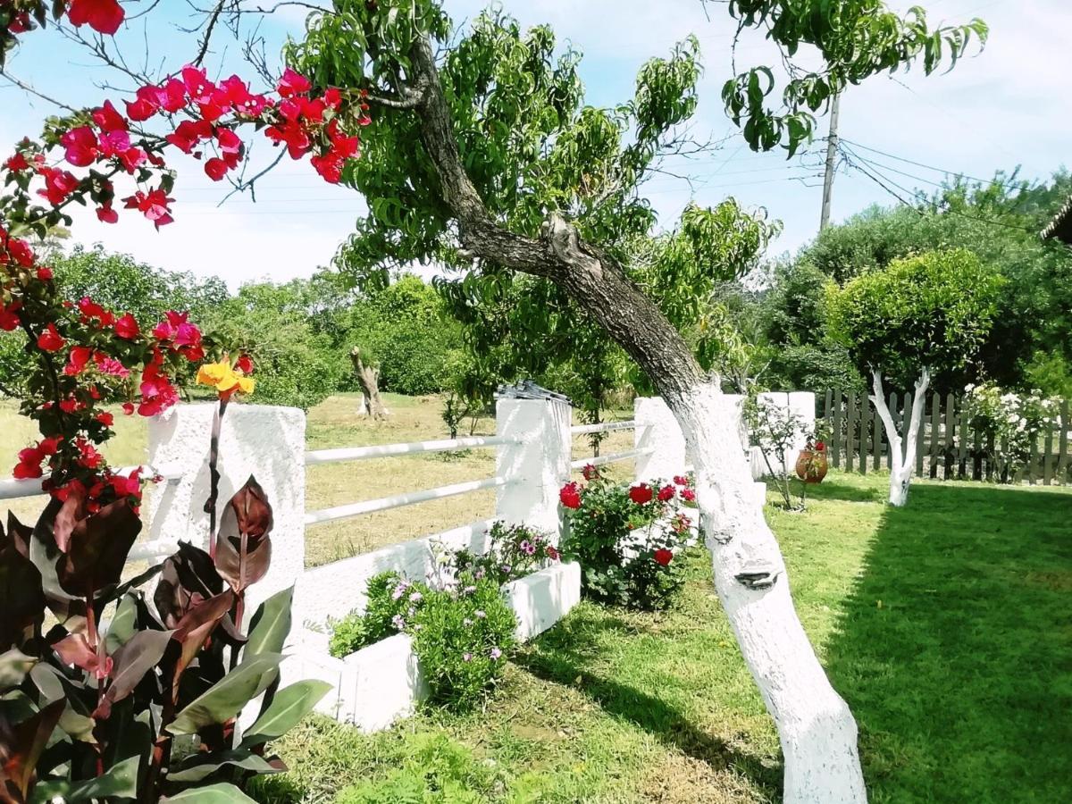 Villa Marietta Agios Gordios  Exterior photo